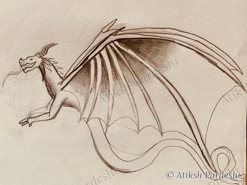 Dragon in flight, wing structure study