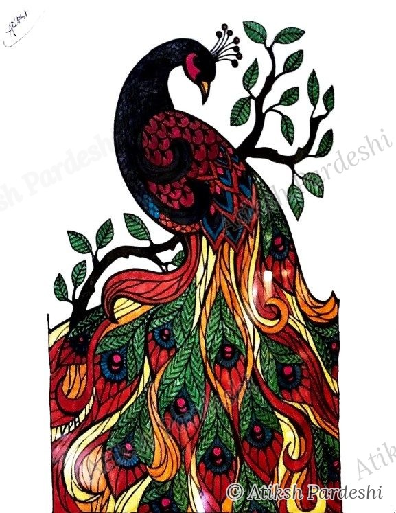 Patterned peacock illustration